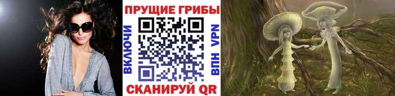 купить Усть-Лабинск Псилоцибиновые грибы Psilocybe